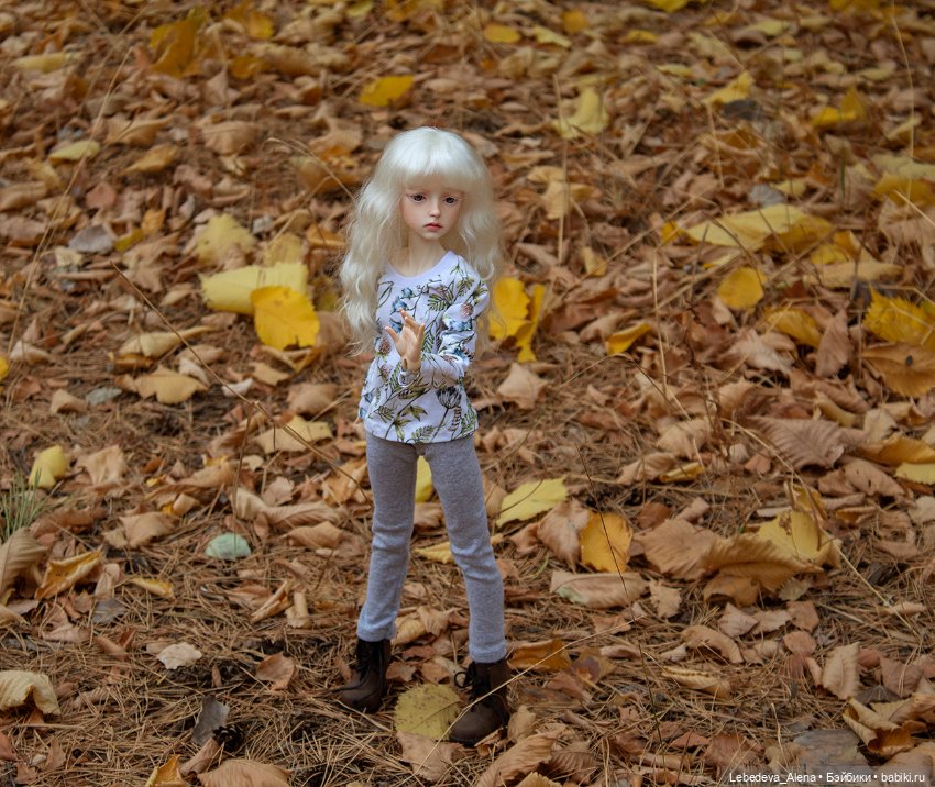Анна и осенний лес — Куклы Dollstown (Доллстаун): BJD (БЖД) (фото 5)