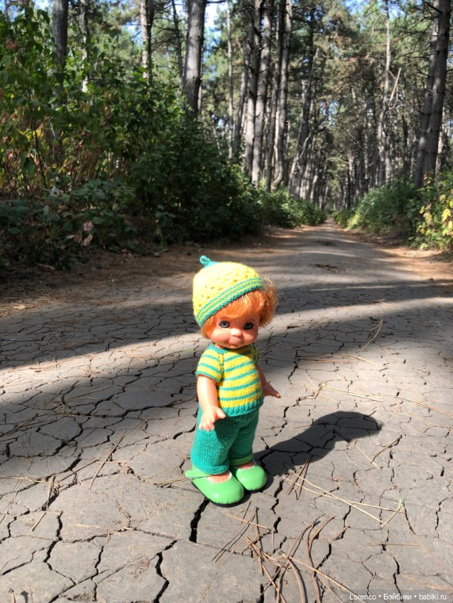 Прогулка в городском лесу (фото 6)