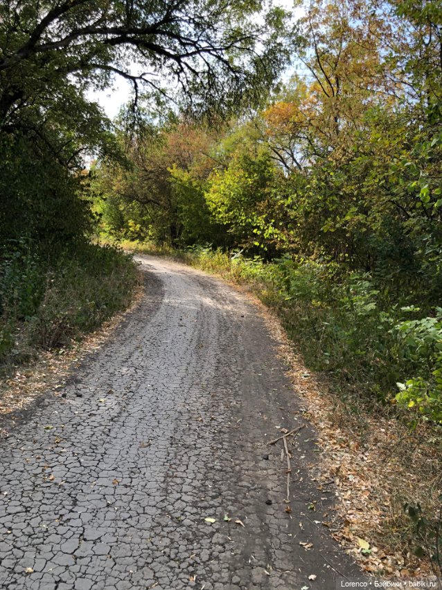 Прогулка в городском лесу