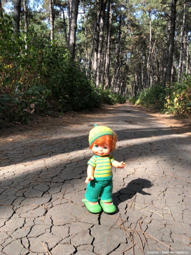 Прогулка в городском лесу (фото 5)