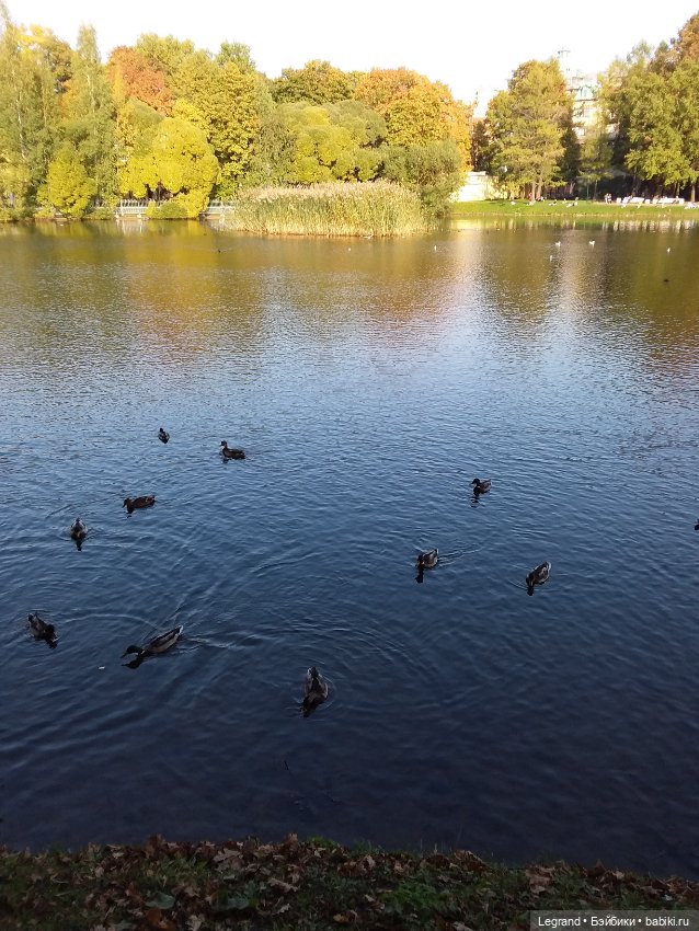 Айсис. Осень — Куклы Bratz (Братц) и Moxie Girlz: MGA