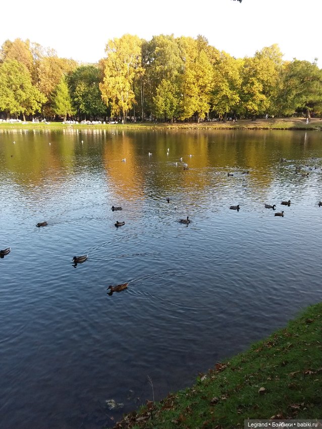 Айсис. Осень — Куклы Bratz (Братц) и Moxie Girlz: MGA