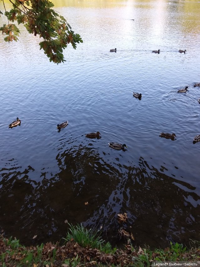 Айсис. Осень — Куклы Bratz (Братц) и Moxie Girlz: MGA