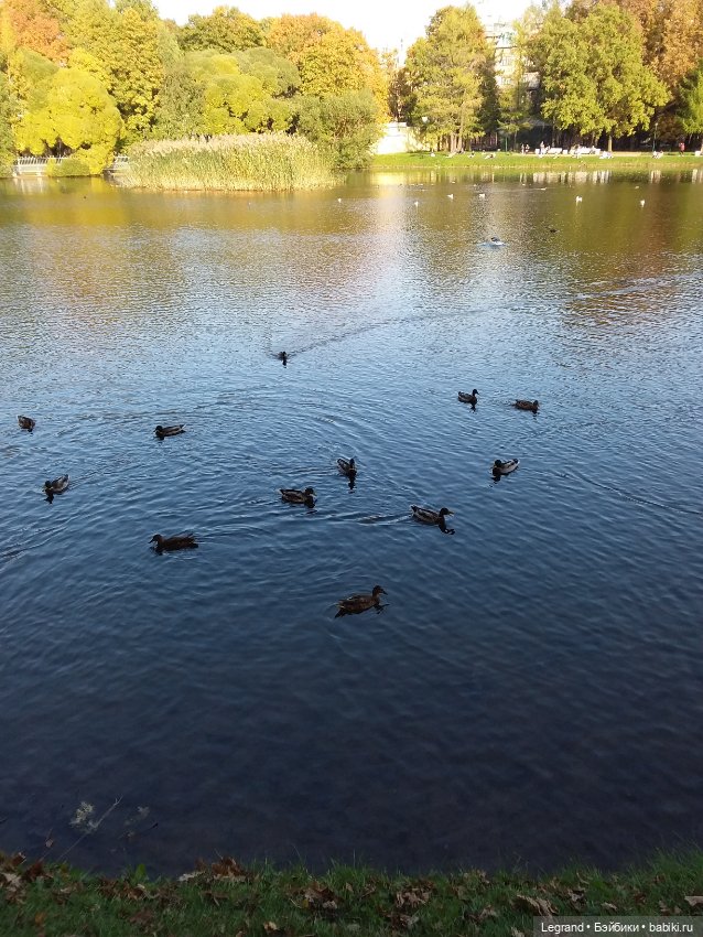 Айсис. Осень — Куклы Bratz (Братц) и Moxie Girlz: MGA (фото 9)