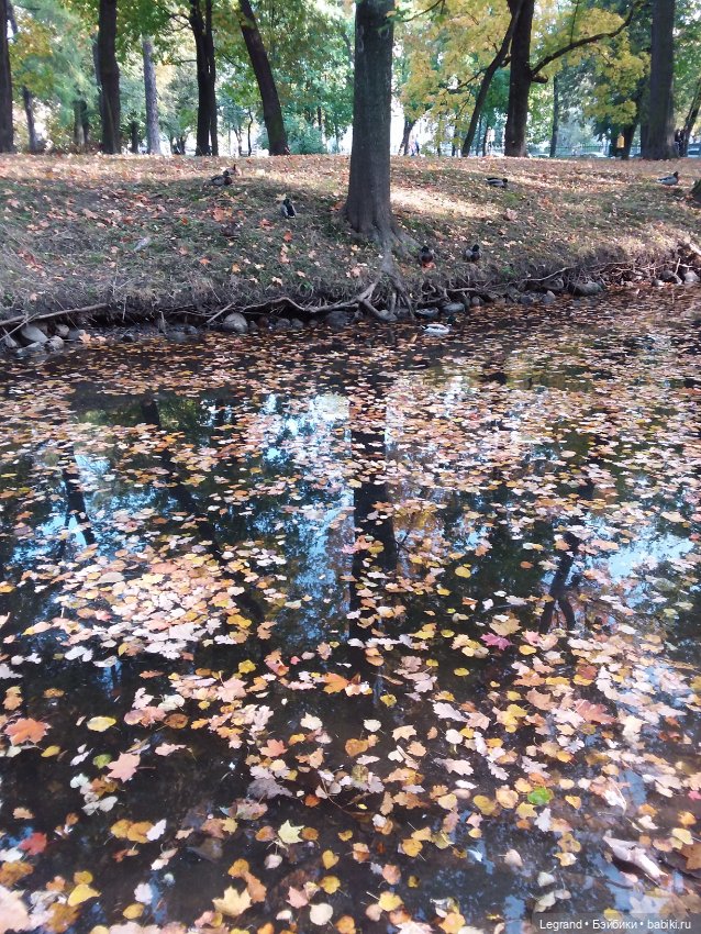 Айсис. Осень — Куклы Bratz (Братц) и Moxie Girlz: MGA (фото 7)