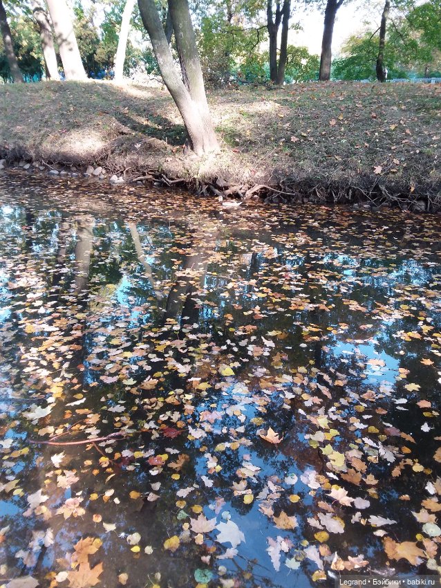 Айсис. Осень — Куклы Bratz (Братц) и Moxie Girlz: MGA (фото 6)