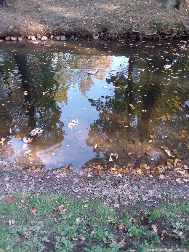 Айсис. Осень — Куклы Bratz (Братц) и Moxie Girlz: MGA (фото 8)