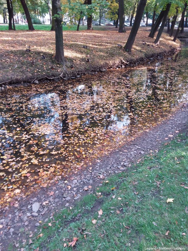 Айсис. Осень — Куклы Bratz (Братц) и Moxie Girlz: MGA (фото 5)