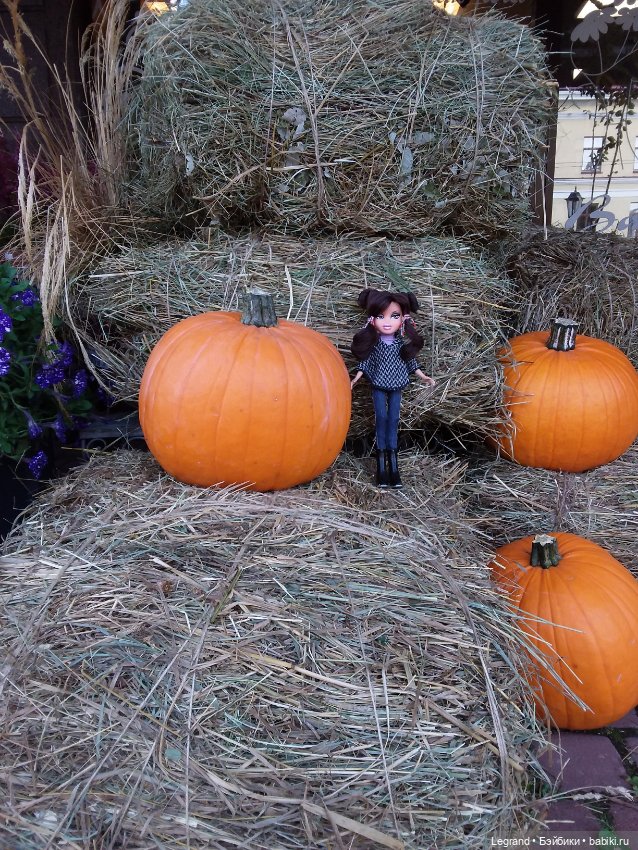 Айсис. Осень — Куклы Bratz (Братц) и Moxie Girlz: MGA