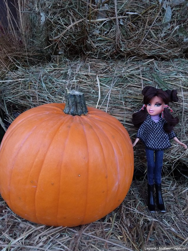 Айсис. Осень — Куклы Bratz (Братц) и Moxie Girlz: MGA