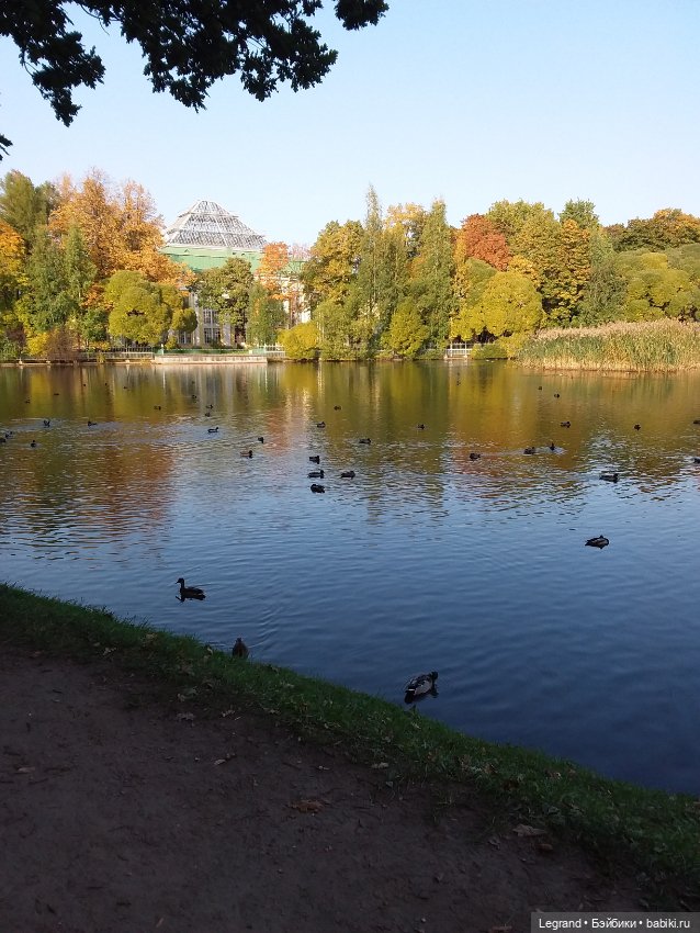 Лестат. Осень — Куклы Bratz (Братц) и Moxie Girlz: MGA