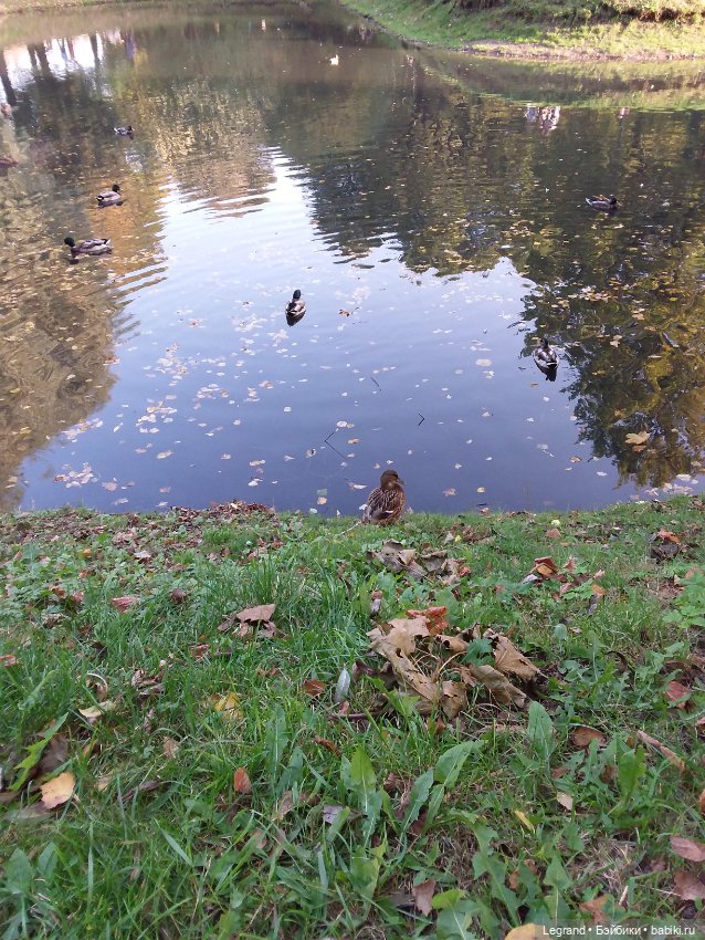 Лестат. Осень — Куклы Bratz (Братц) и Moxie Girlz: MGA