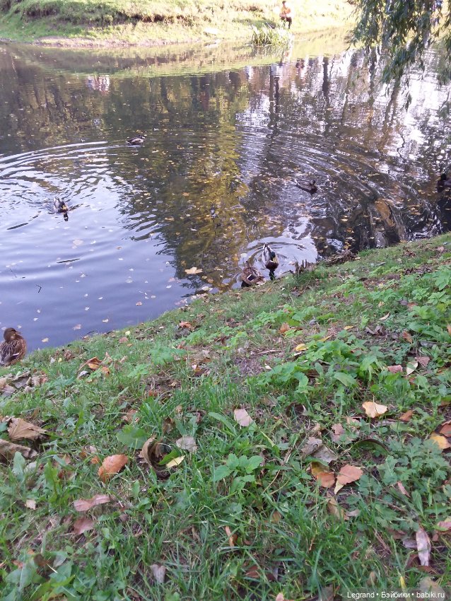 Лестат. Осень — Куклы Bratz (Братц) и Moxie Girlz: MGA