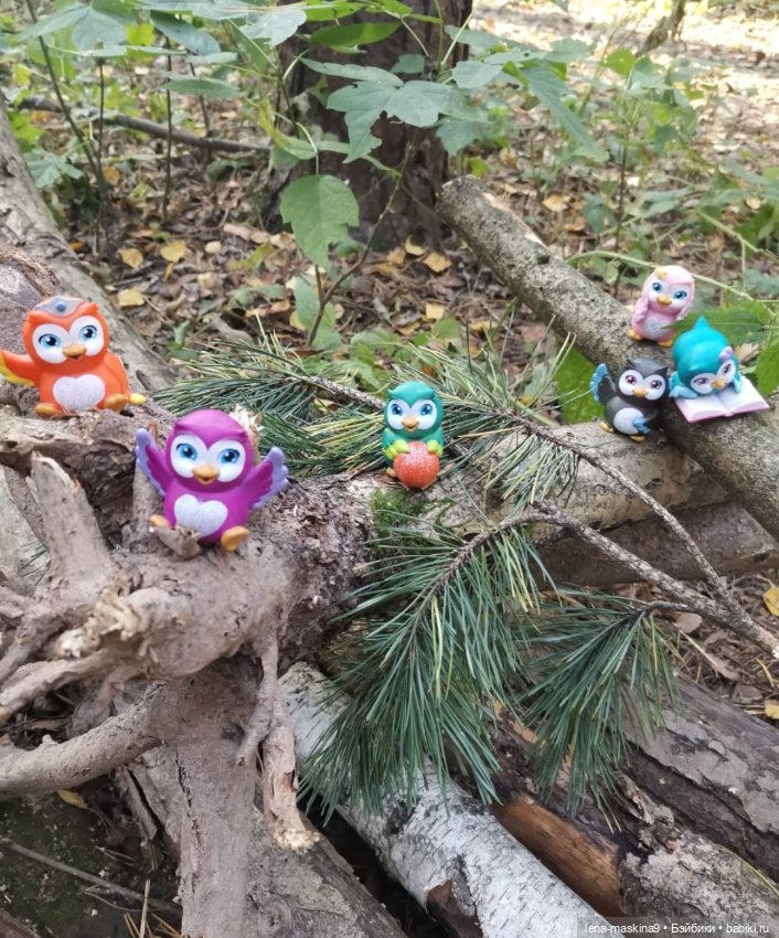 Мои любимые Совушки — Домашние коллекции кукол: фото собраний