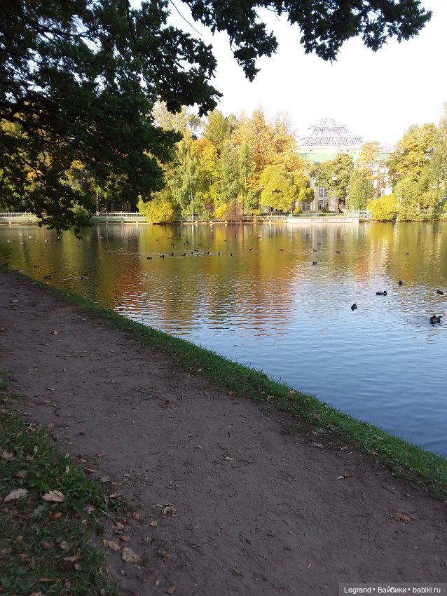 Лестат. Осень — Куклы Bratz (Братц) и Moxie Girlz: MGA