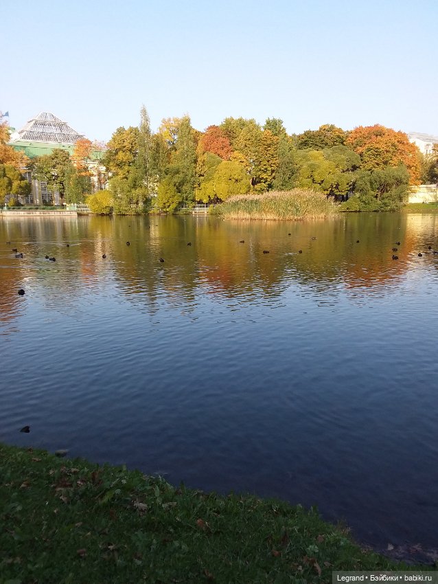 Лестат. Осень — Куклы Bratz (Братц) и Moxie Girlz: MGA