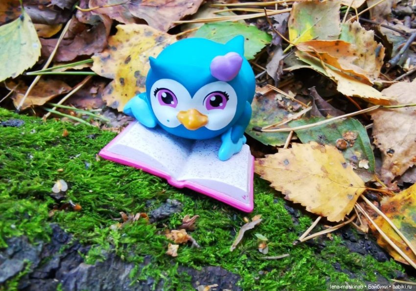 Мои любимые Совушки — Домашние коллекции кукол: фото собраний