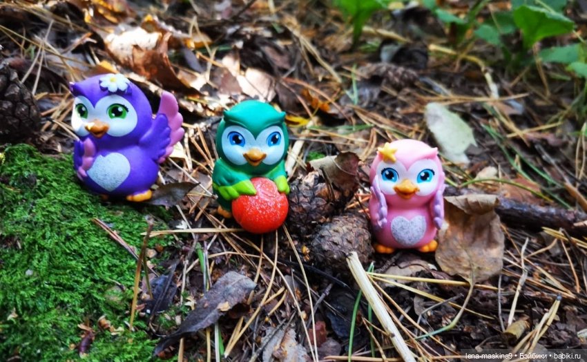 Мои любимые Совушки — Домашние коллекции кукол: фото собраний