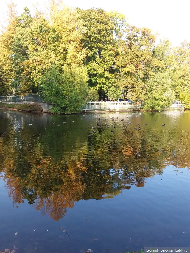 Лестат. Осень — Куклы Bratz (Братц) и Moxie Girlz: MGA