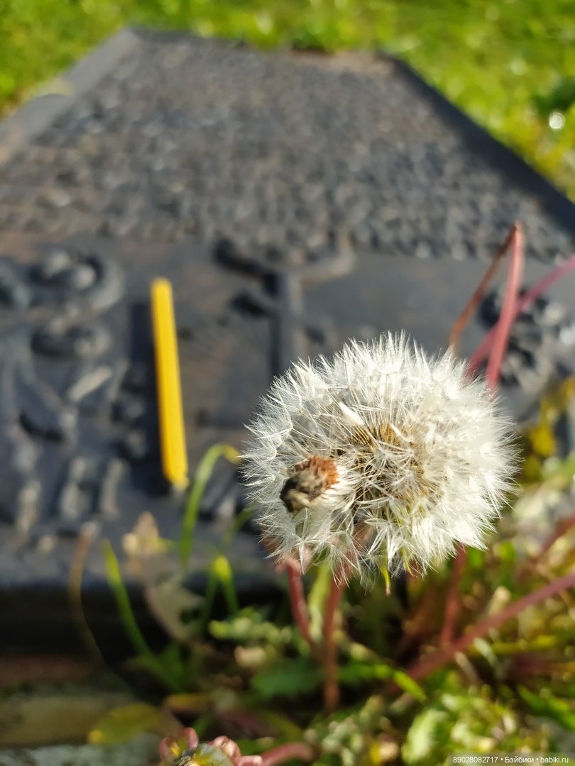 Cубботний девичник — Туризм и путешествия: фотоотчеты из поездок