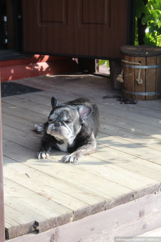 Немножко из дачной жизни — Авторские игрушки из разных материалов: синельная проволока