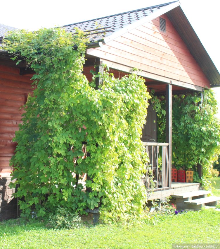 Немножко из дачной жизни — Авторские игрушки из разных материалов: синельная проволока (фото 10)