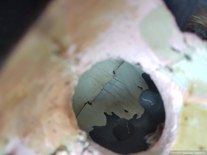 Нужен совет по ремонту антикварной(?) Куклы (фото 6)