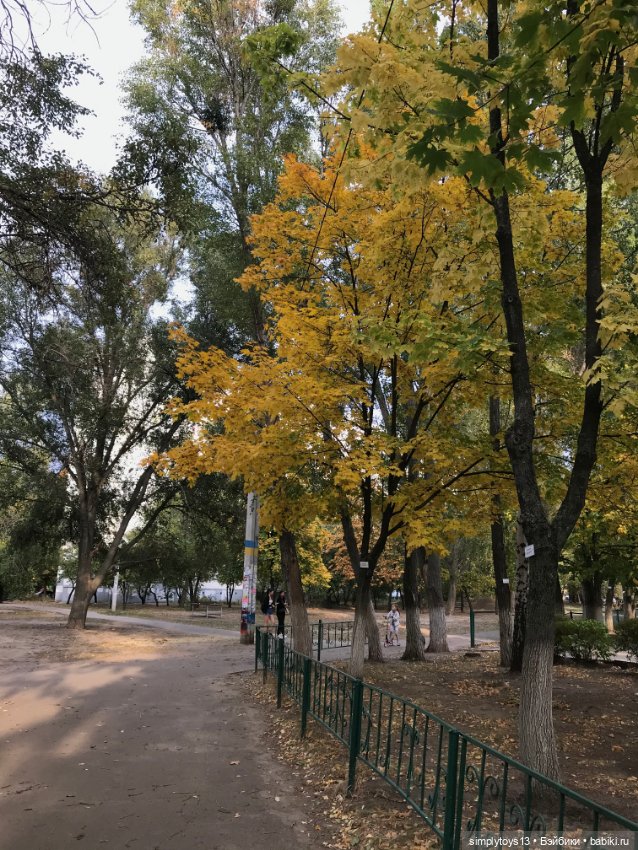 Мой воробушек ЛиЭнн Орешек (фото 9)