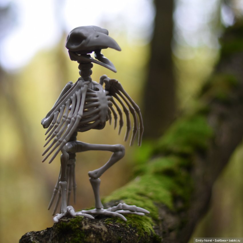 Привет, птичка, как дела, птичка (фото 9)