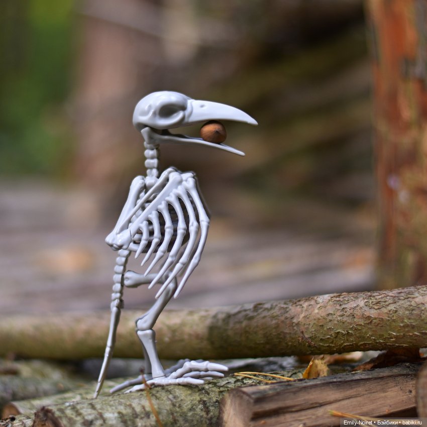 Привет, птичка, как дела, птичка (фото 10)