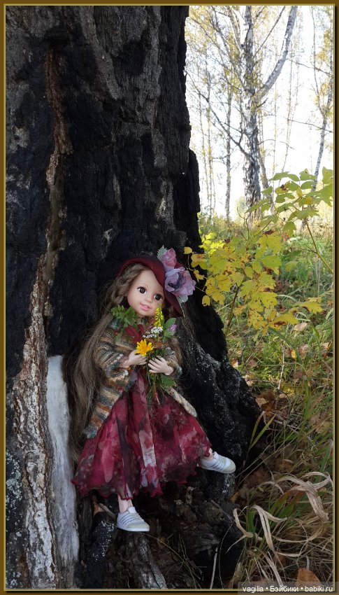 Прогулка за грибами — Болталка и разговоры обо всем: жизнь