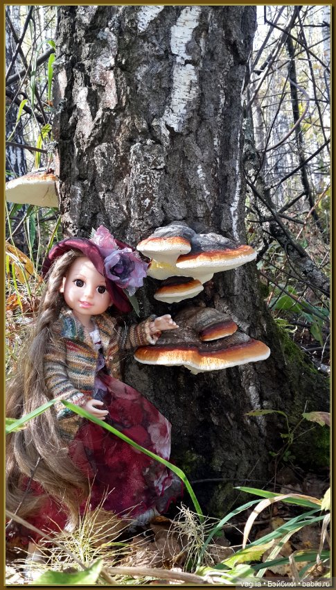 Прогулка за грибами — Болталка и разговоры обо всем: жизнь (фото 5)