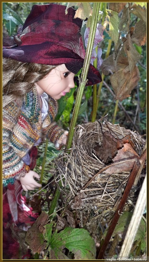 Прогулка за грибами — Болталка и разговоры обо всем: жизнь (фото 8)