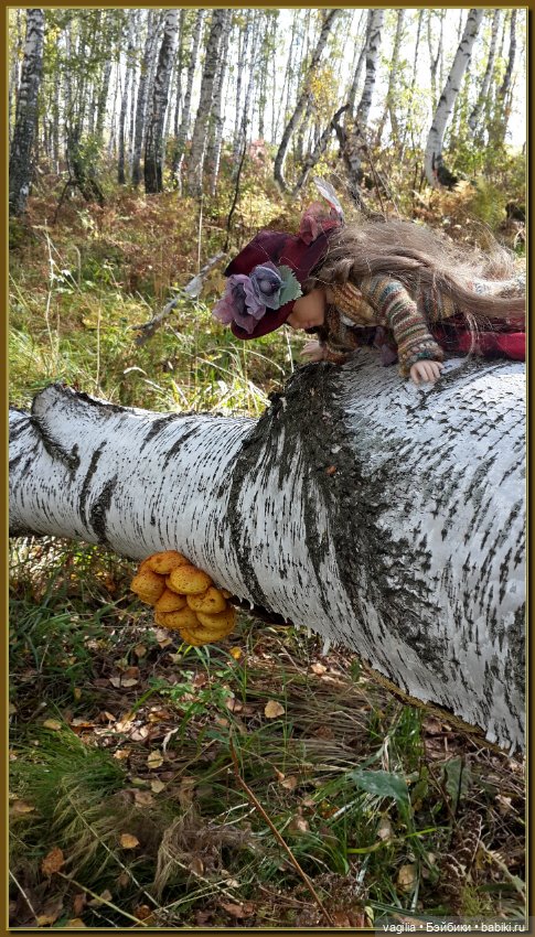 Прогулка за грибами — Болталка и разговоры обо всем: жизнь (фото 9)