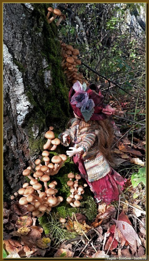 Прогулка за грибами — Болталка и разговоры обо всем: жизнь