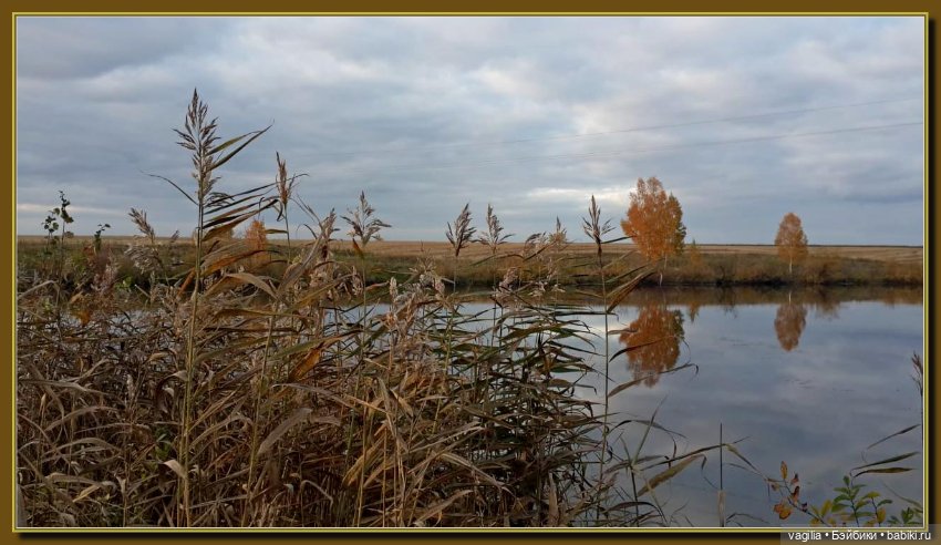 Прогулка за грибами — Болталка и разговоры обо всем: жизнь