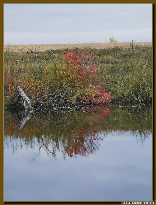 Прогулка за грибами — Болталка и разговоры обо всем: жизнь