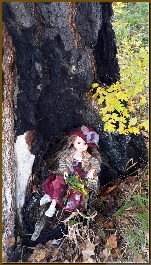 Прогулка за грибами — Болталка и разговоры обо всем: жизнь