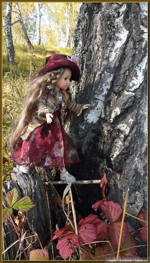 Прогулка за грибами — Болталка и разговоры обо всем: жизнь