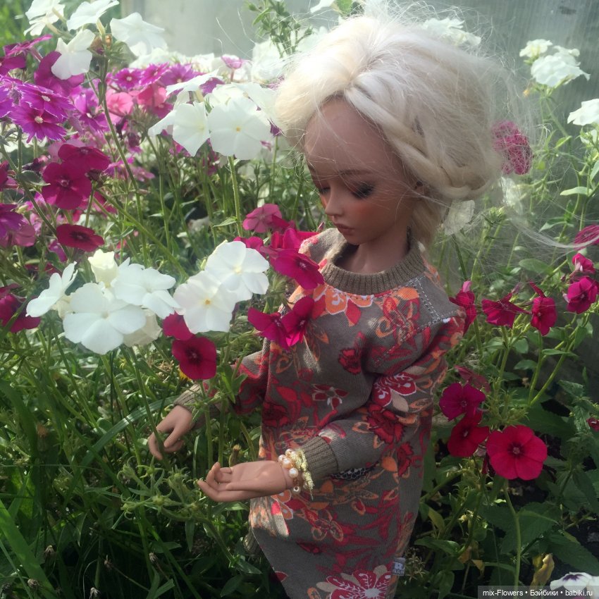 Осенние цветы — Болталка и разговоры обо всем: жизнь (фото 3)