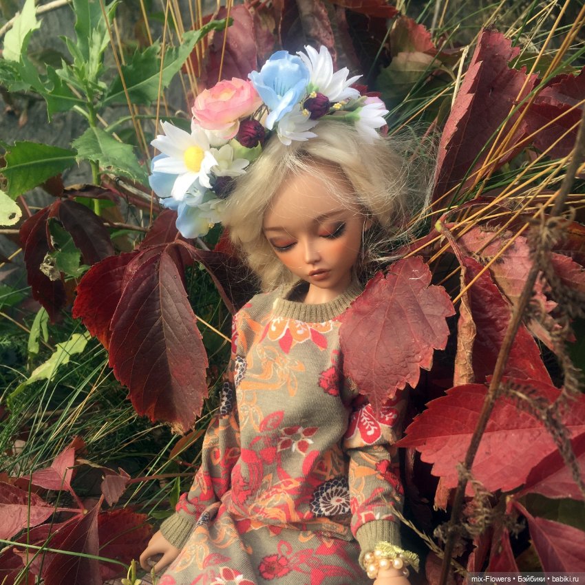 Осенние цветы — Болталка и разговоры обо всем: жизнь (фото 2)