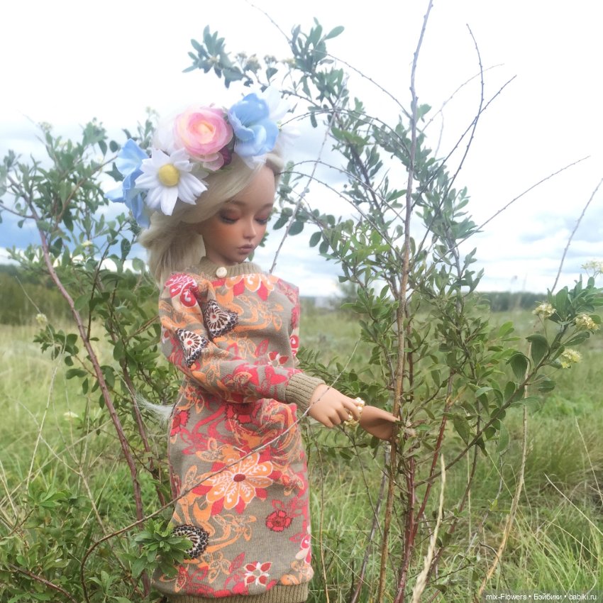 Осенние цветы — Болталка и разговоры обо всем: жизнь (фото 5)