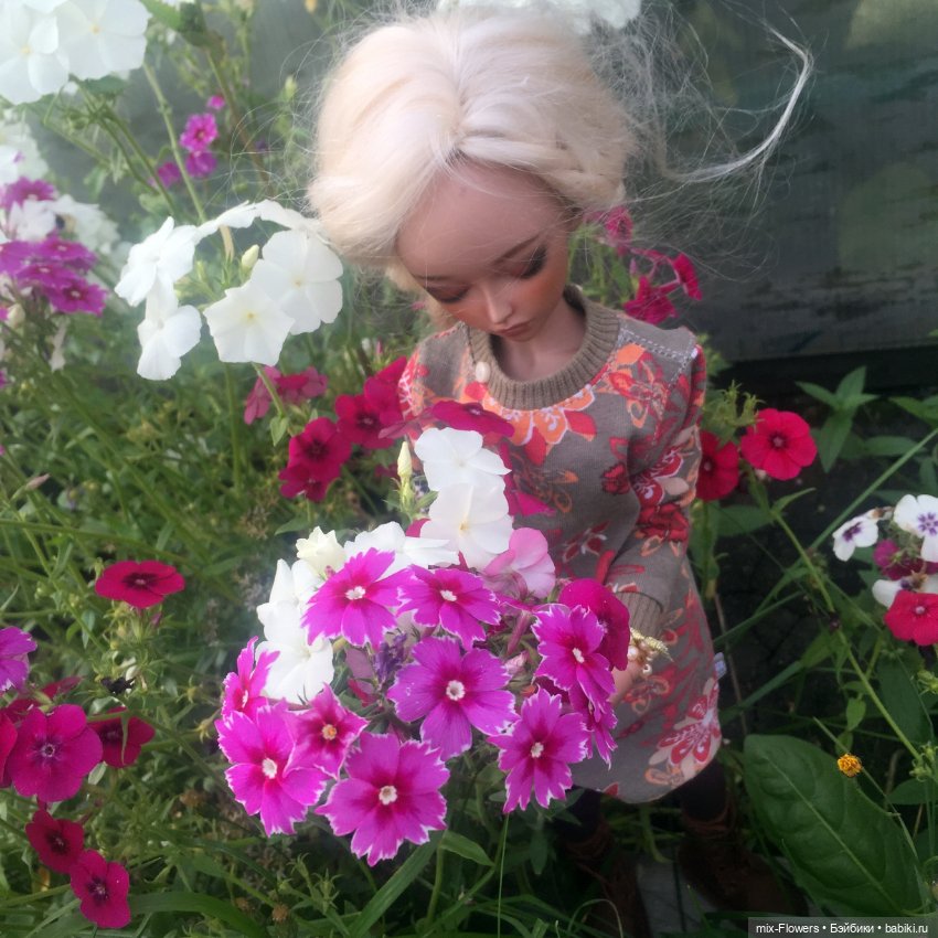 Осенние цветы — Болталка и разговоры обо всем: жизнь