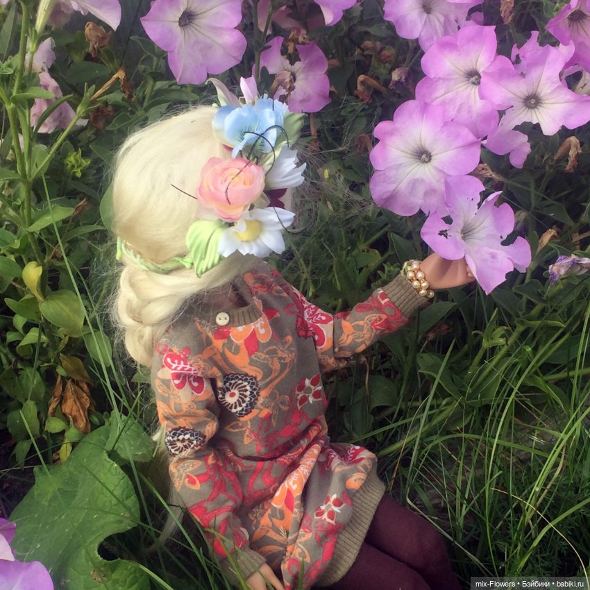 Осенние цветы — Болталка и разговоры обо всем: жизнь (фото 7)