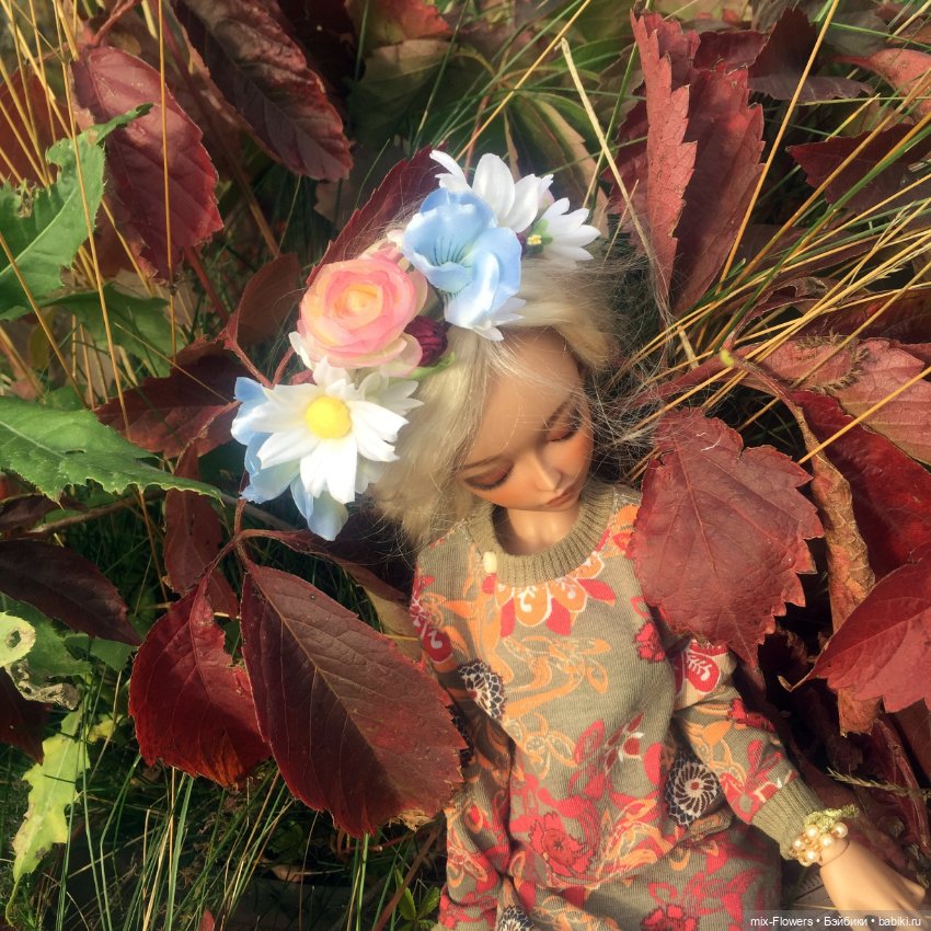 Осенние цветы — Болталка и разговоры обо всем: жизнь (фото 4)