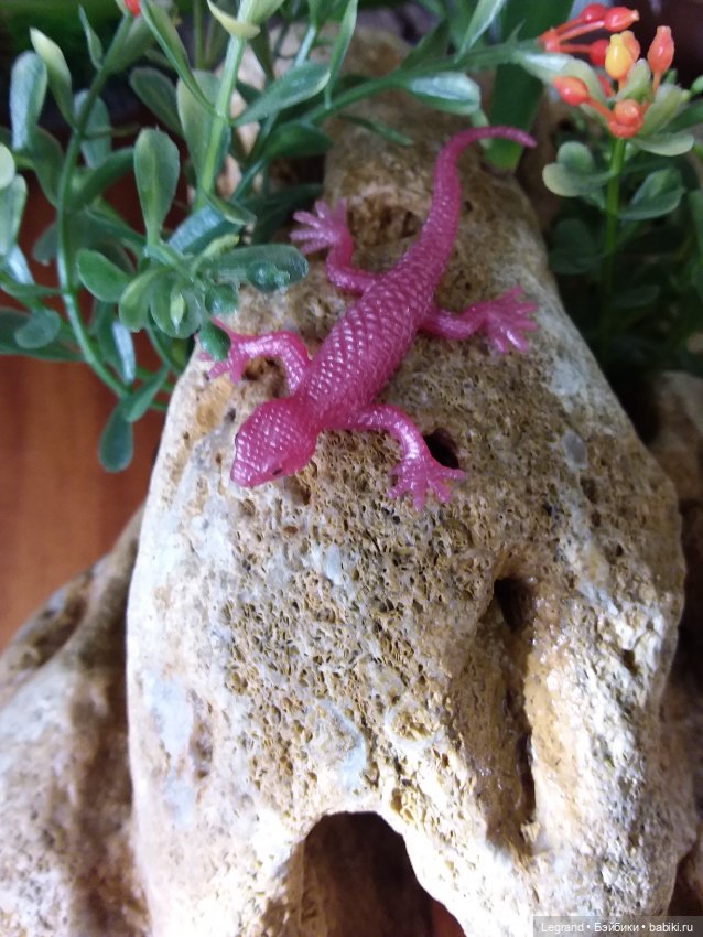 Натуралисты. Постконкурсное