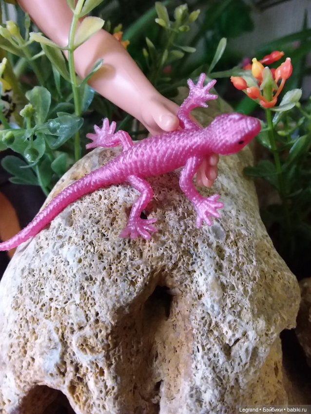 Натуралисты. Постконкурсное (фото 8)