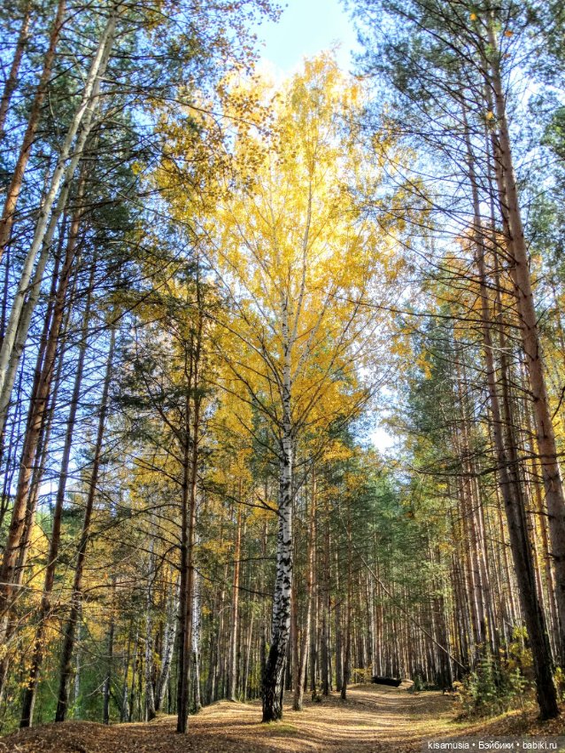 Прекрасная осень — Домашние коллекции кукол: фото собраний
