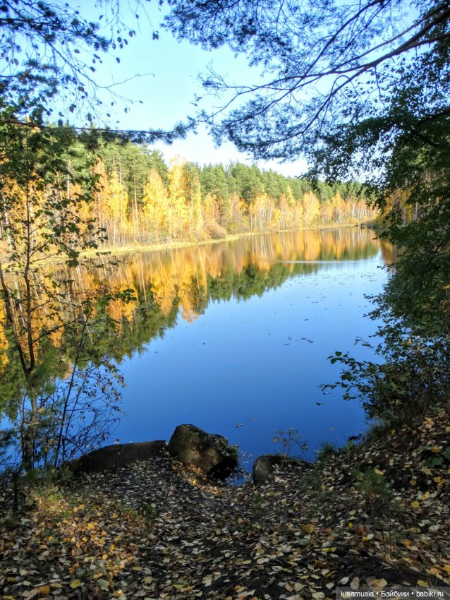 Прекрасная осень — Домашние коллекции кукол: фото собраний (фото 9)