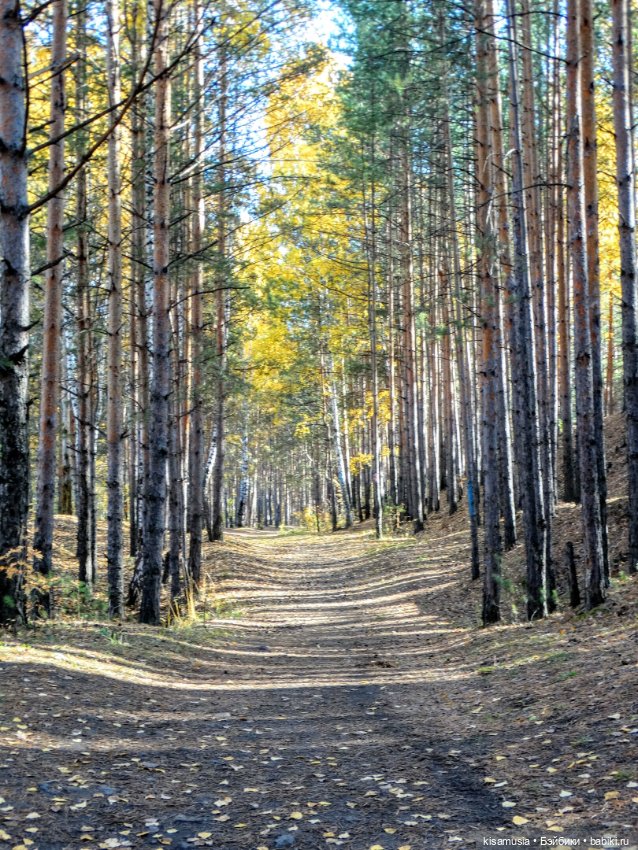 Прекрасная осень — Домашние коллекции кукол: фото собраний